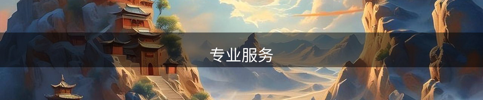 专业服务